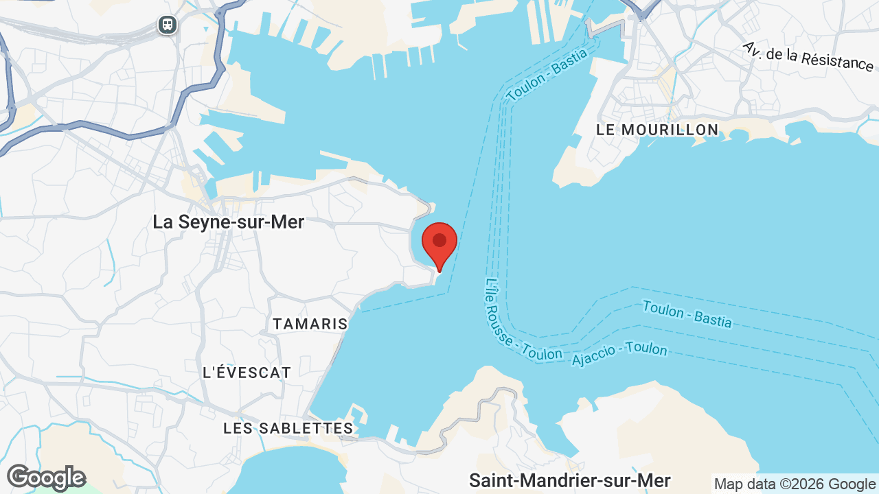 Google map
