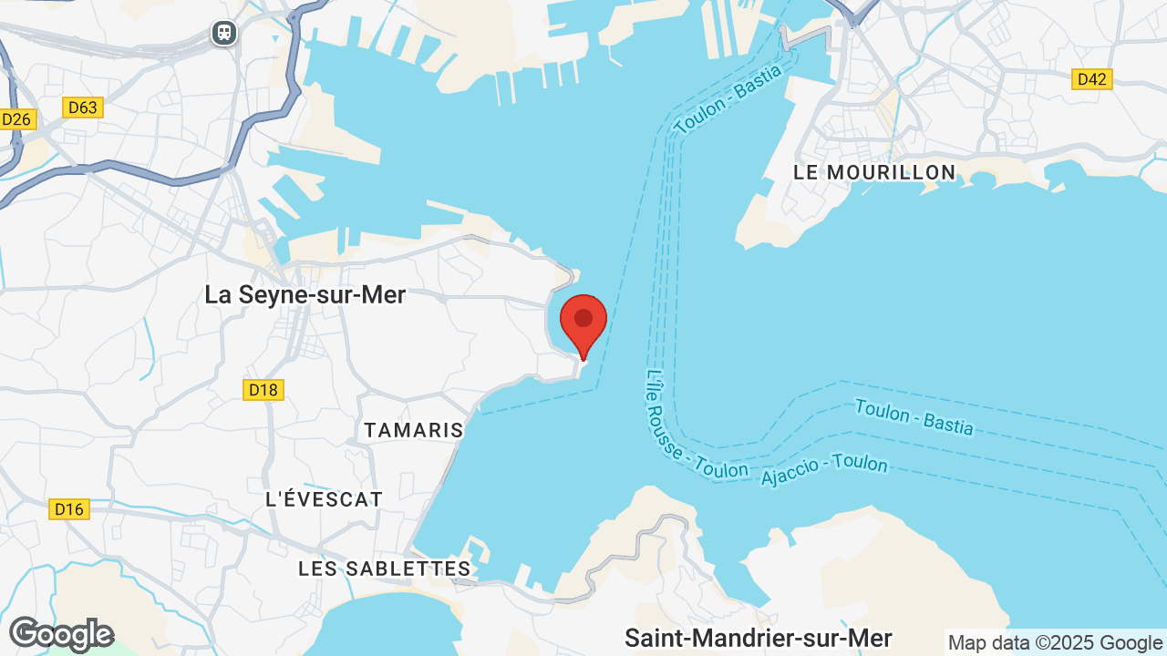 Google map