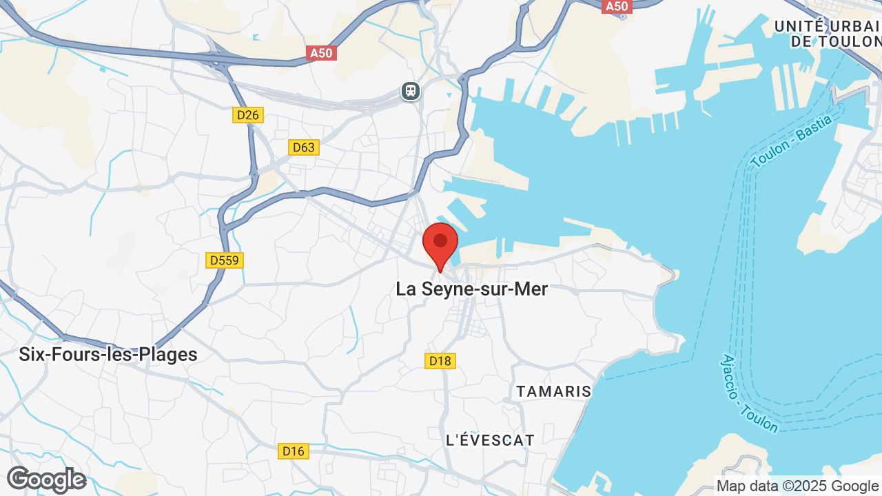Google map