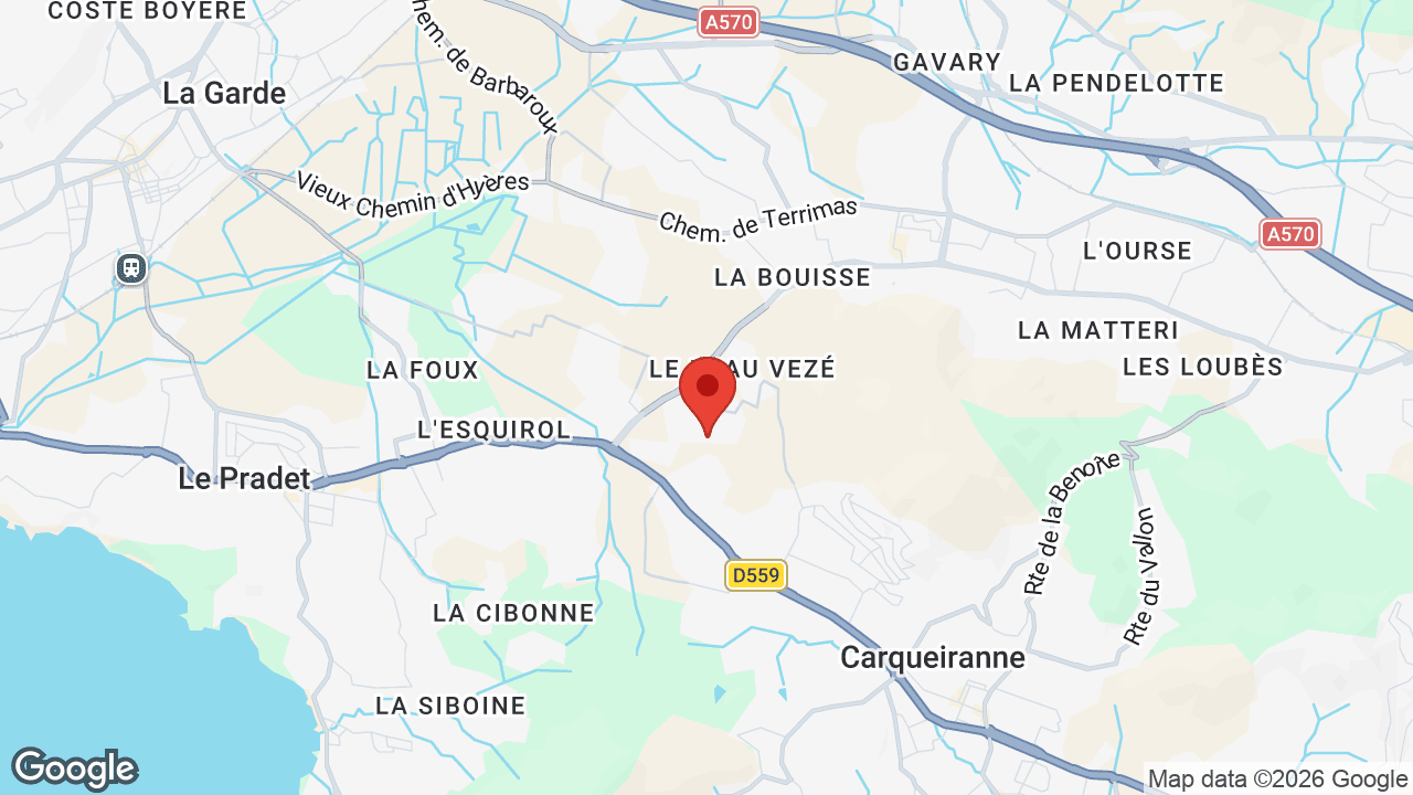 Google map