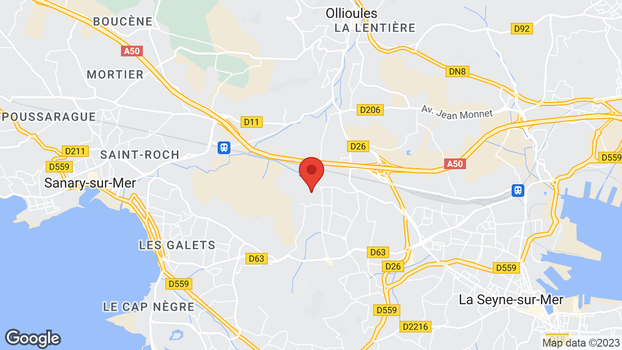 Google map