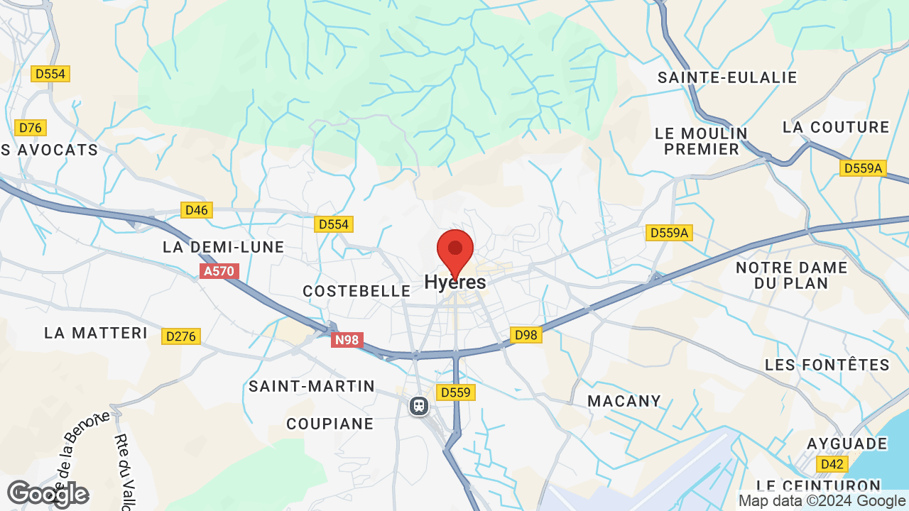 Google map