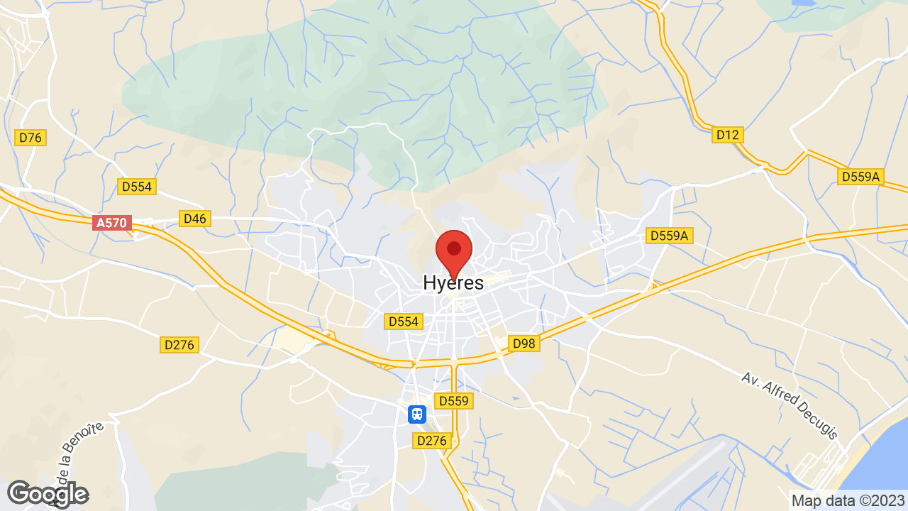 Google map