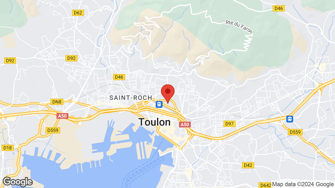 Google map