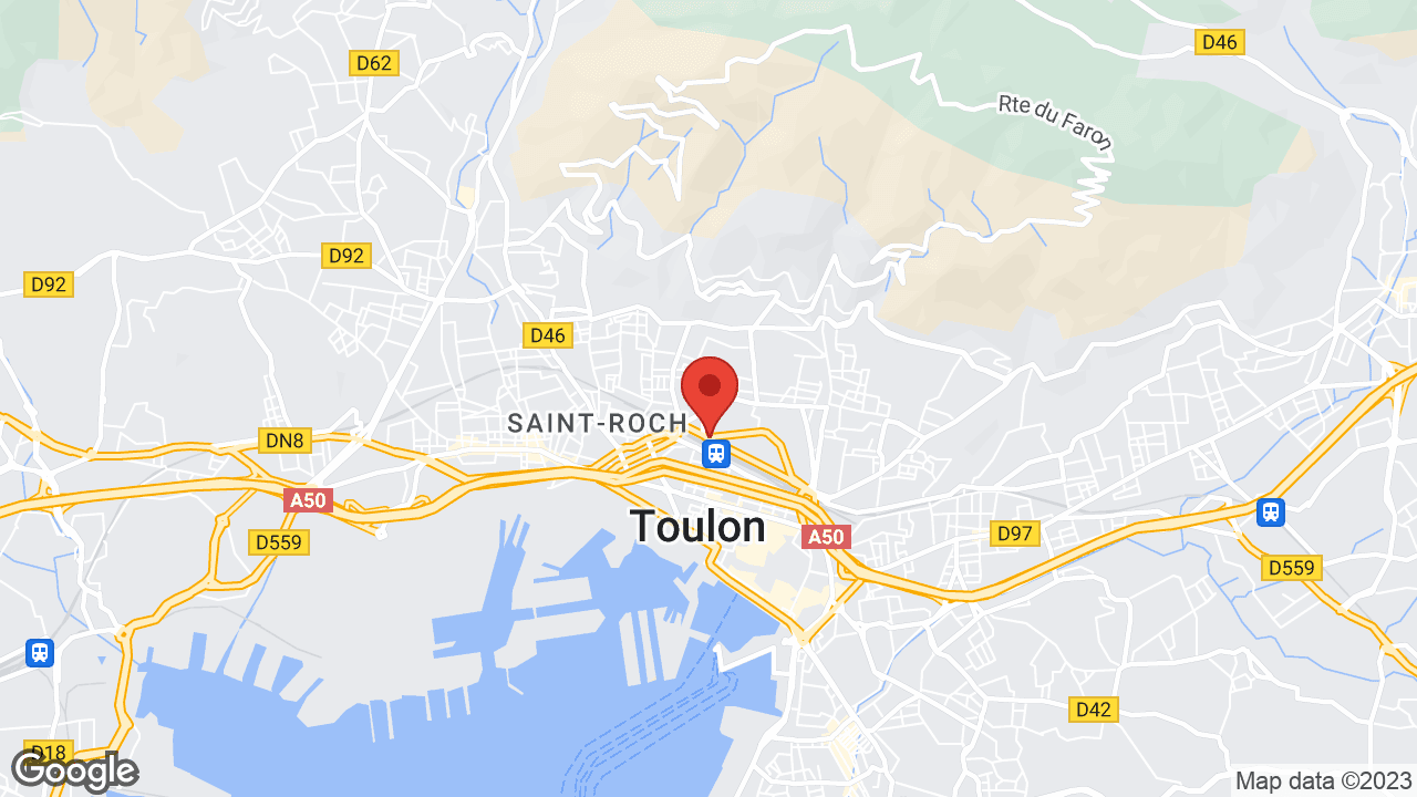 Google map