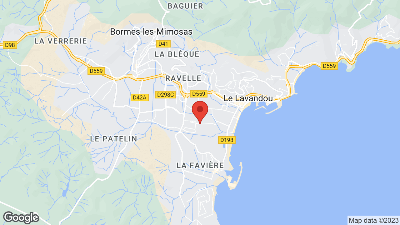Google map