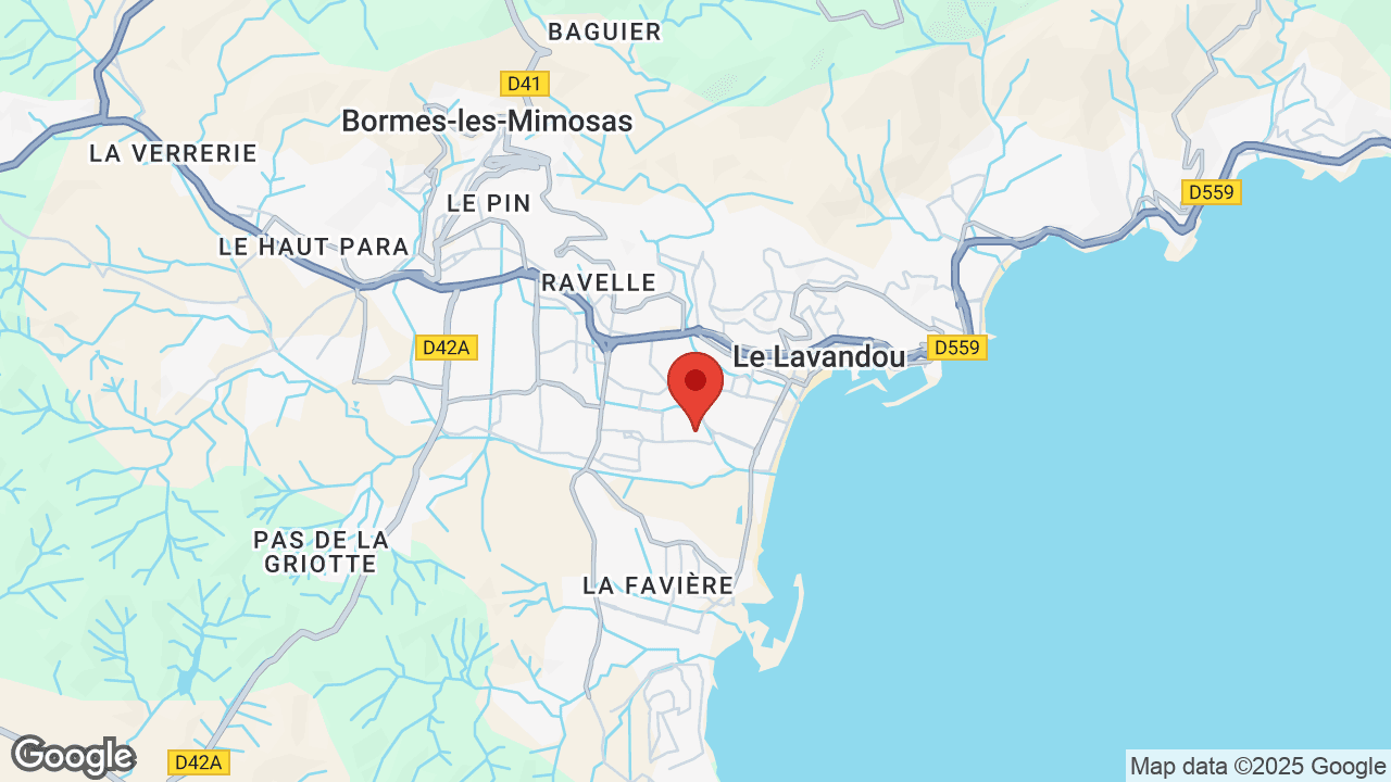 Google map