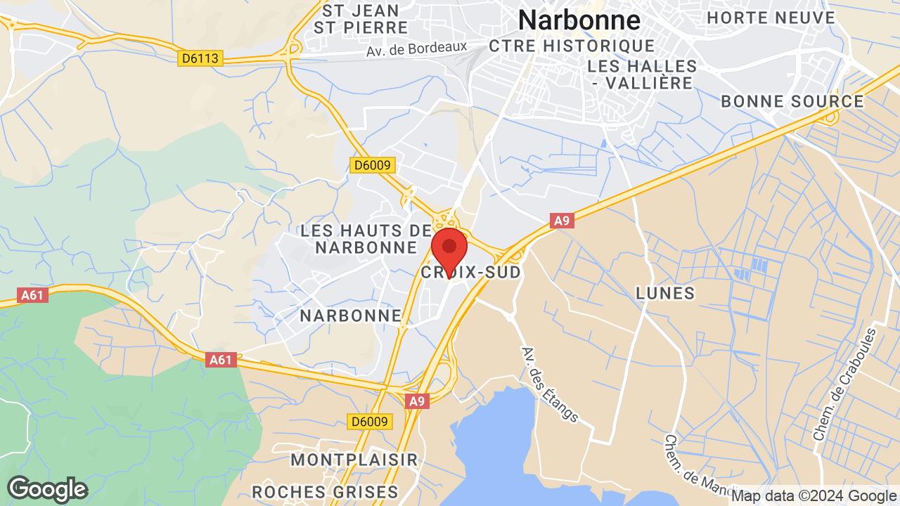 Google map