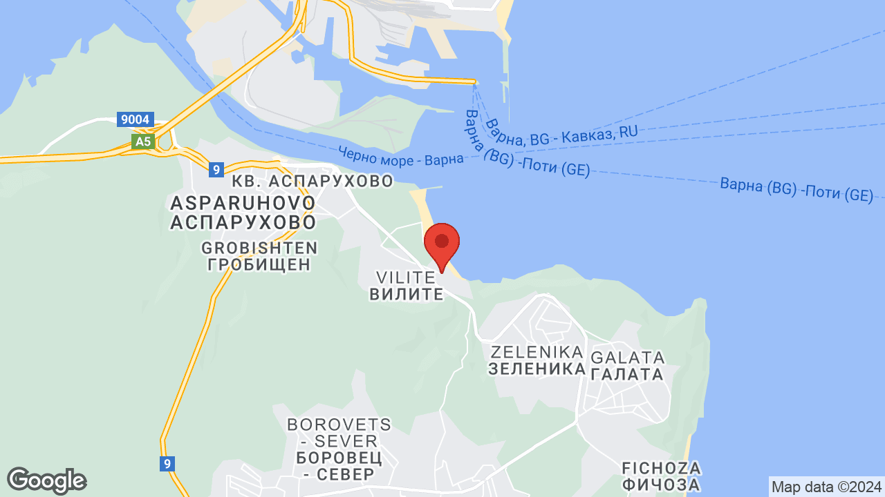 Google map