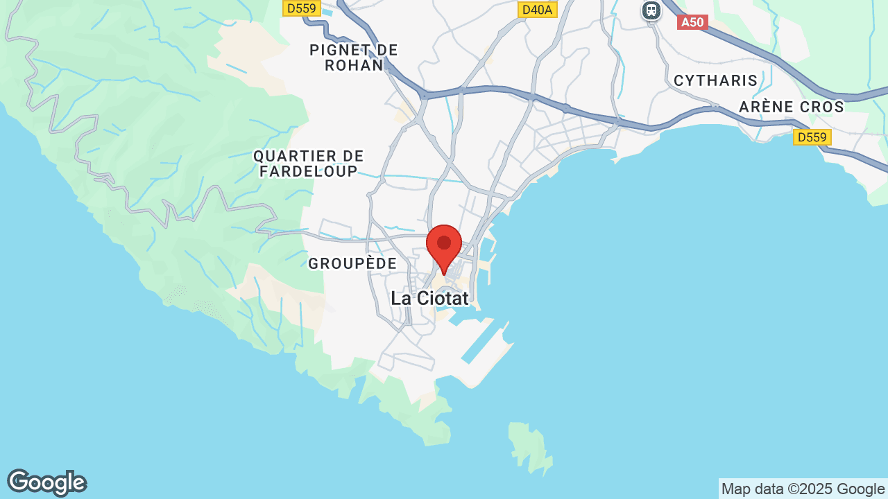 Google map