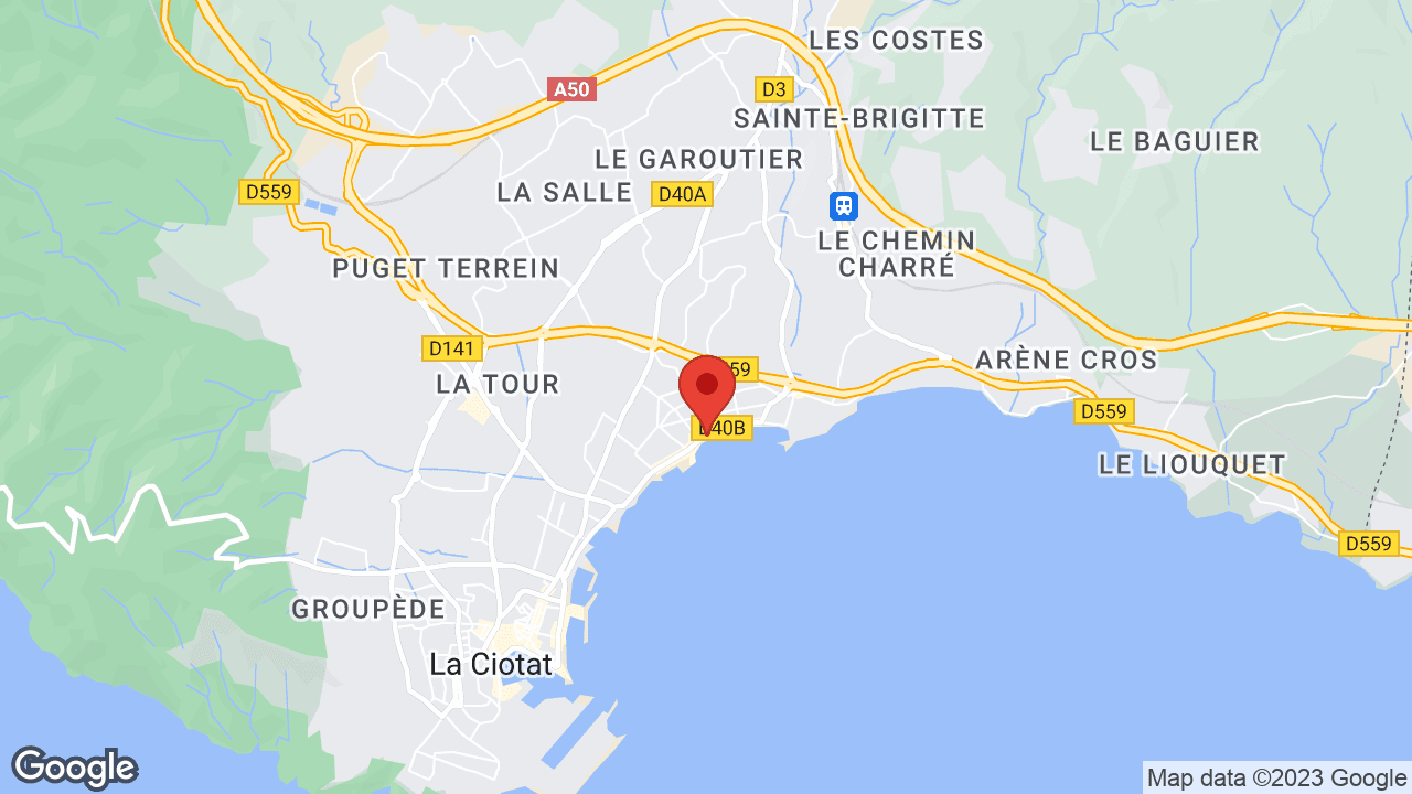 Google map