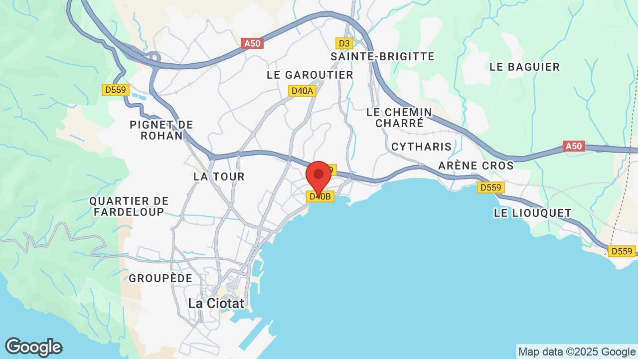 Google map