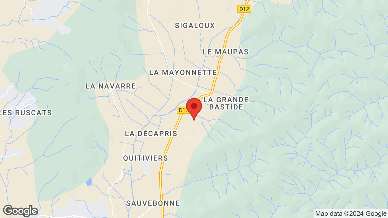 Google map