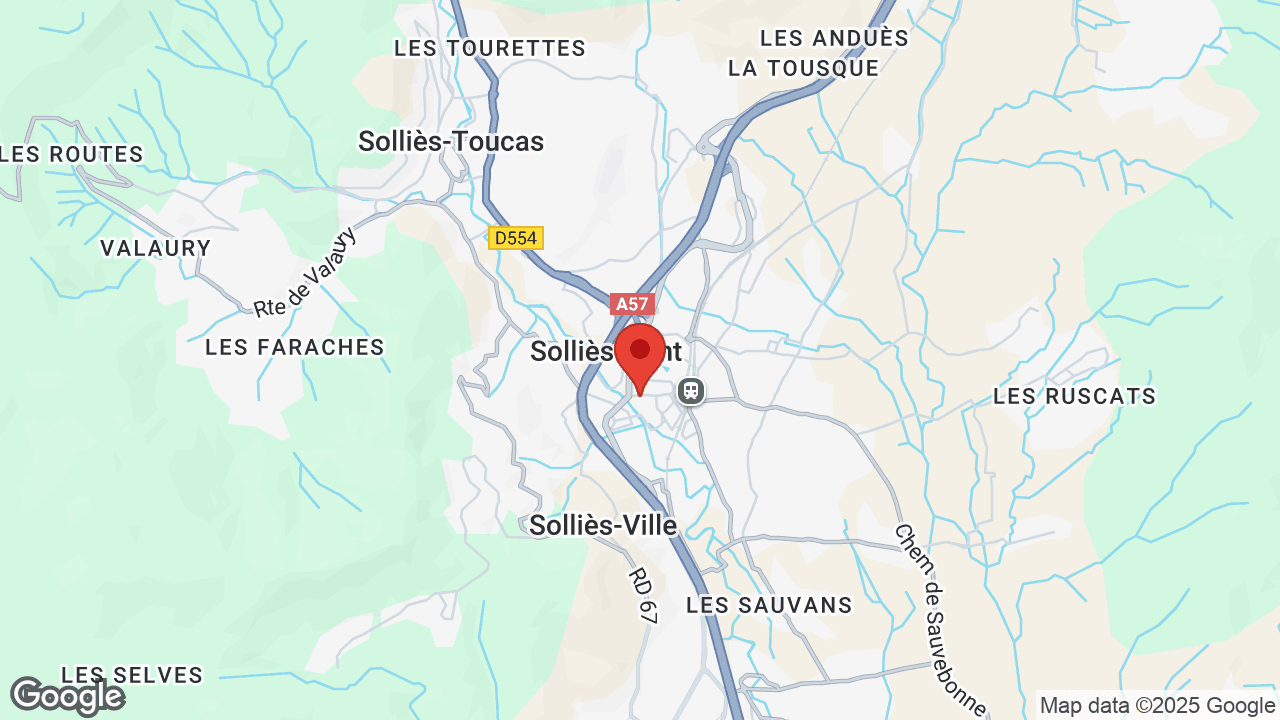 Google map