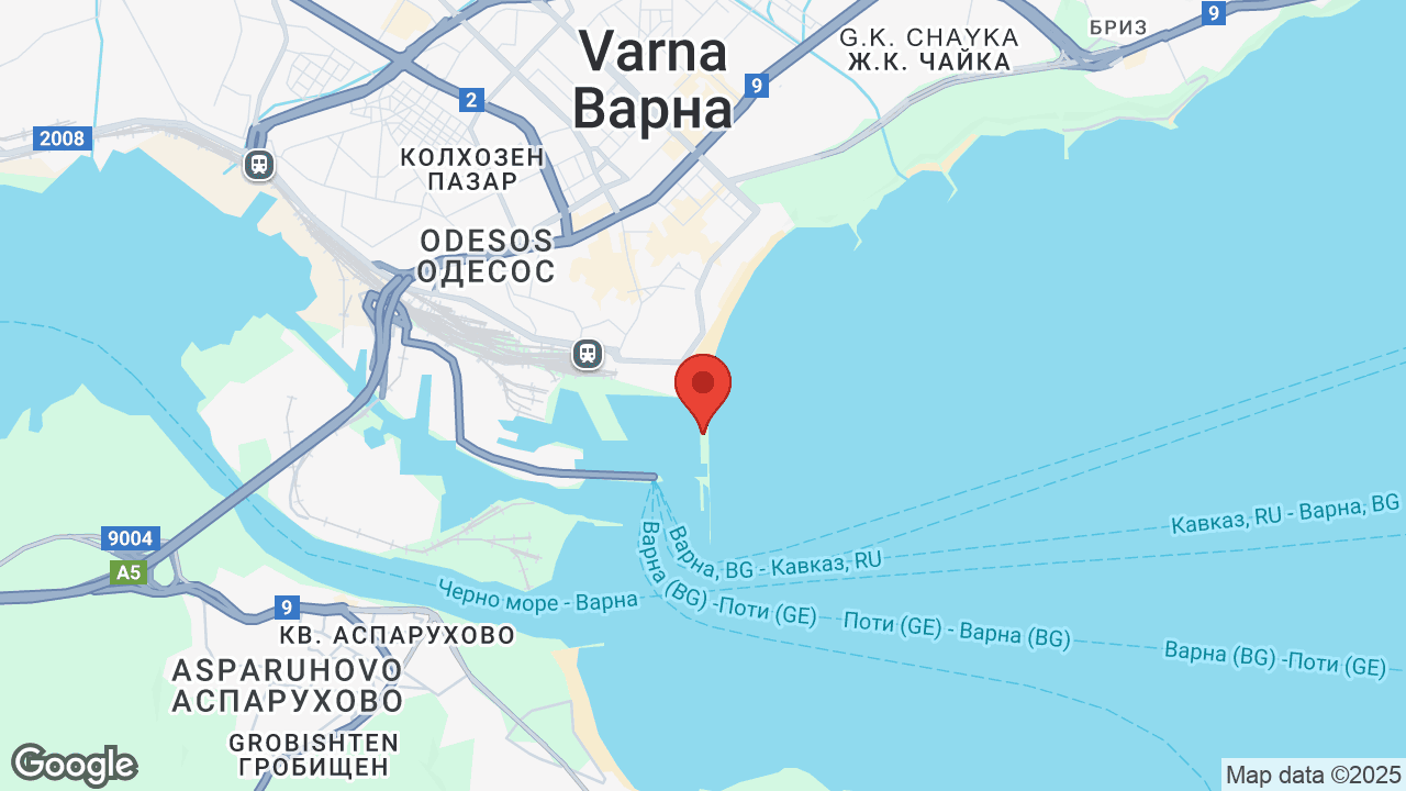 Google map