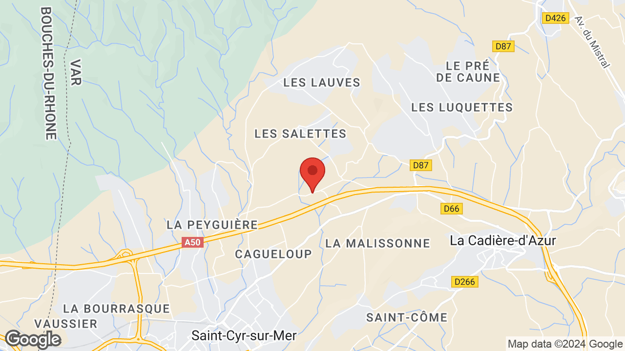 Google map