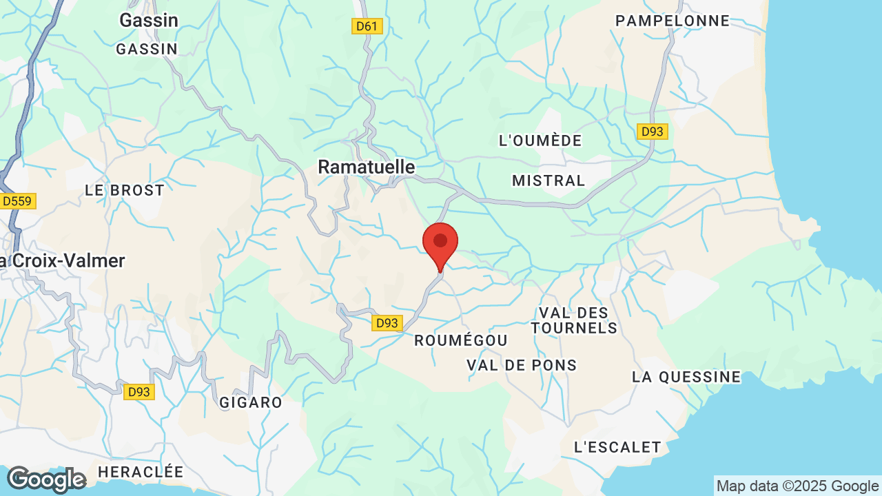 Google map