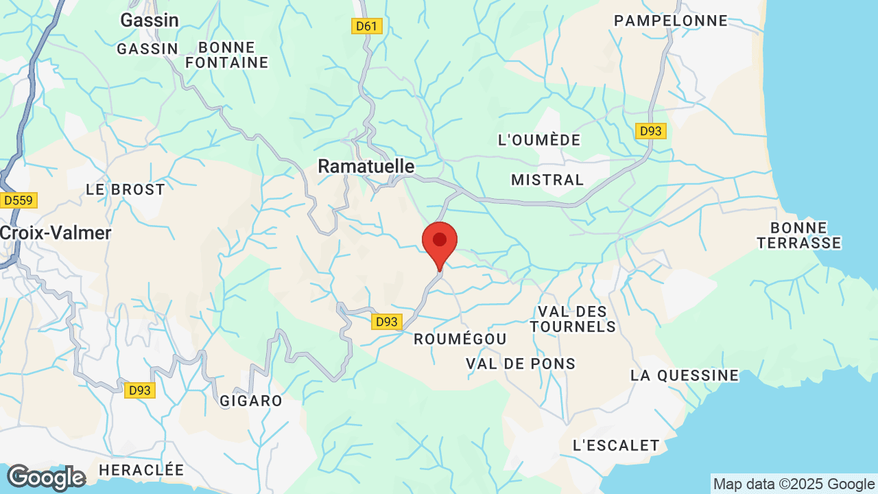 Google map