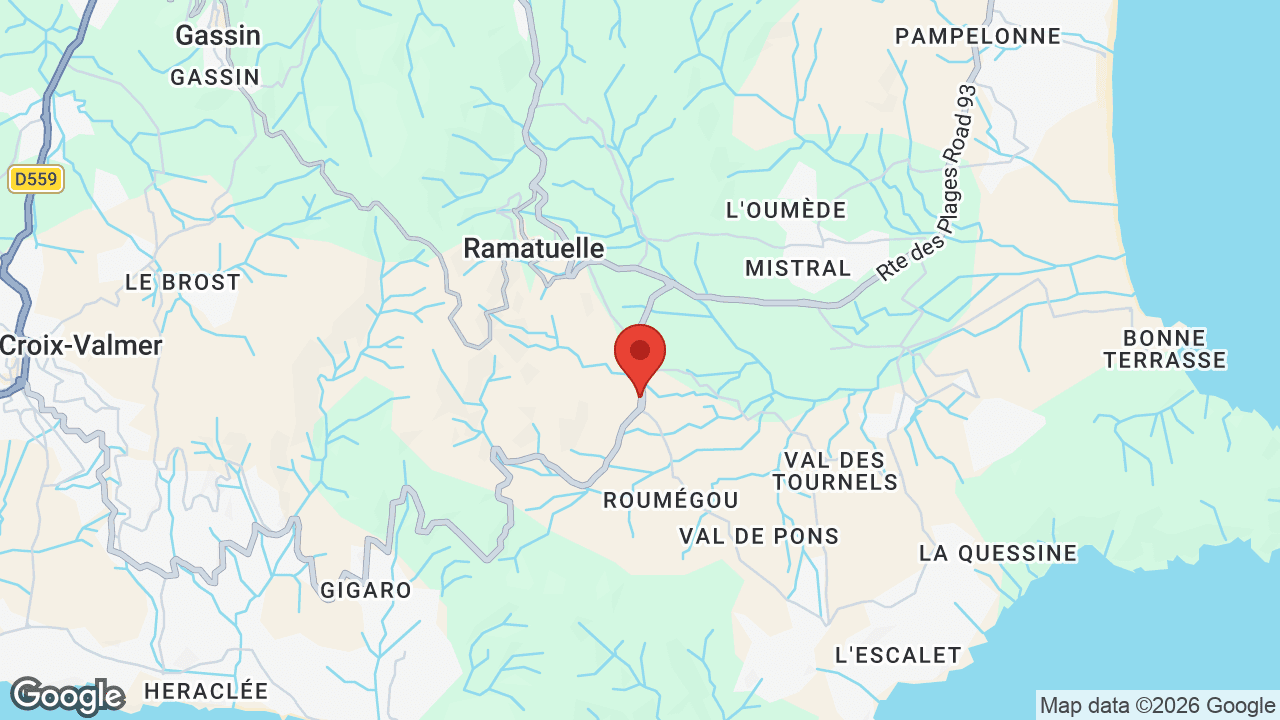 Google map