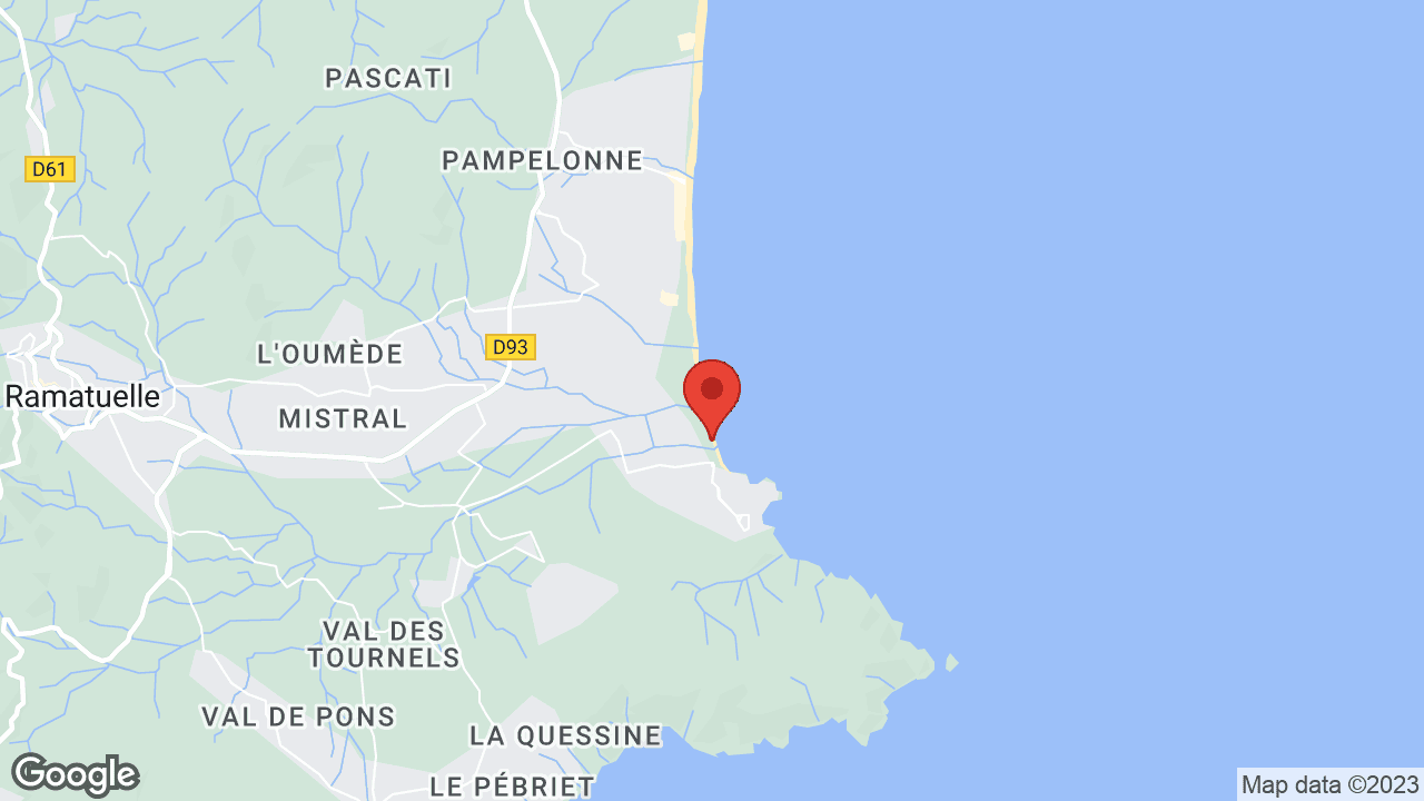 Google map