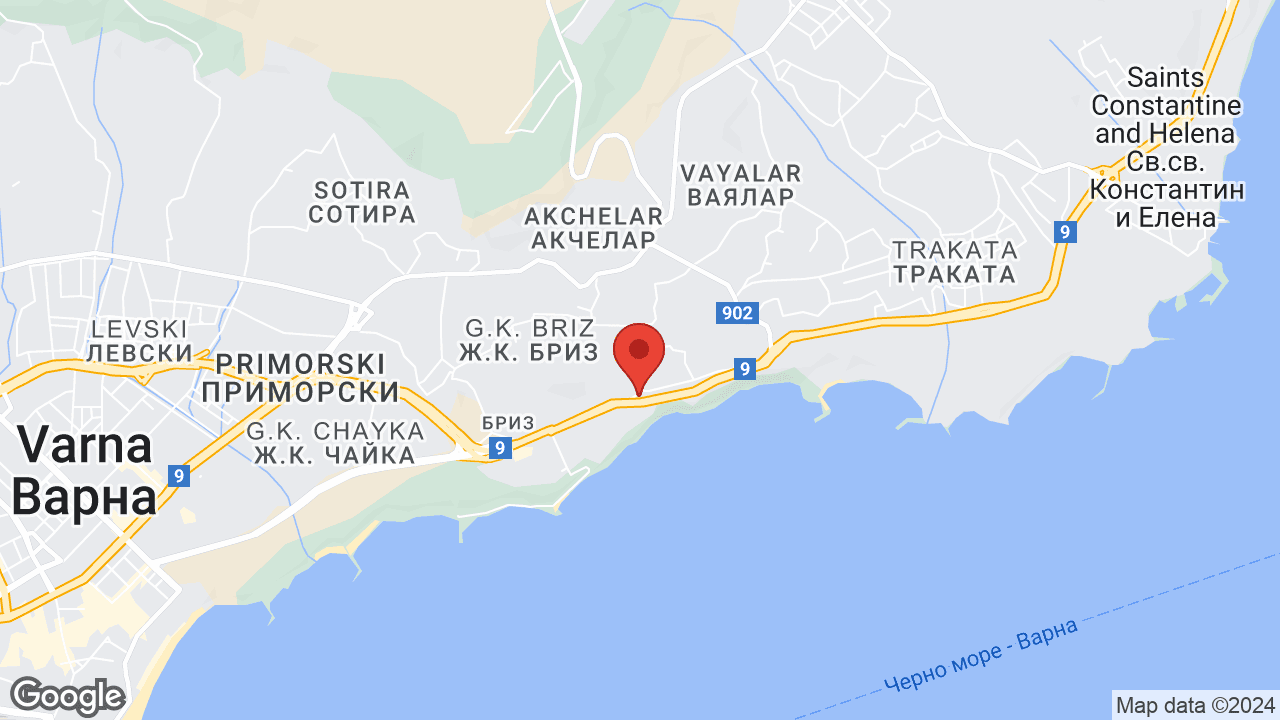 Google map