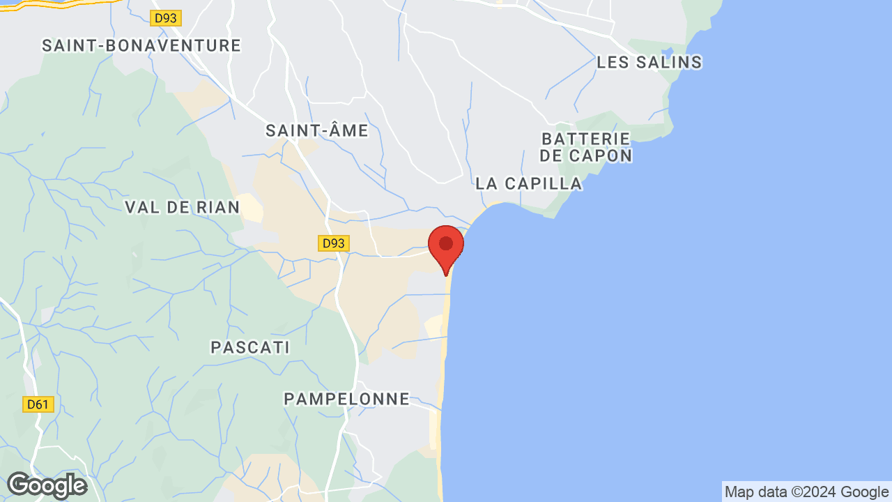 Google map