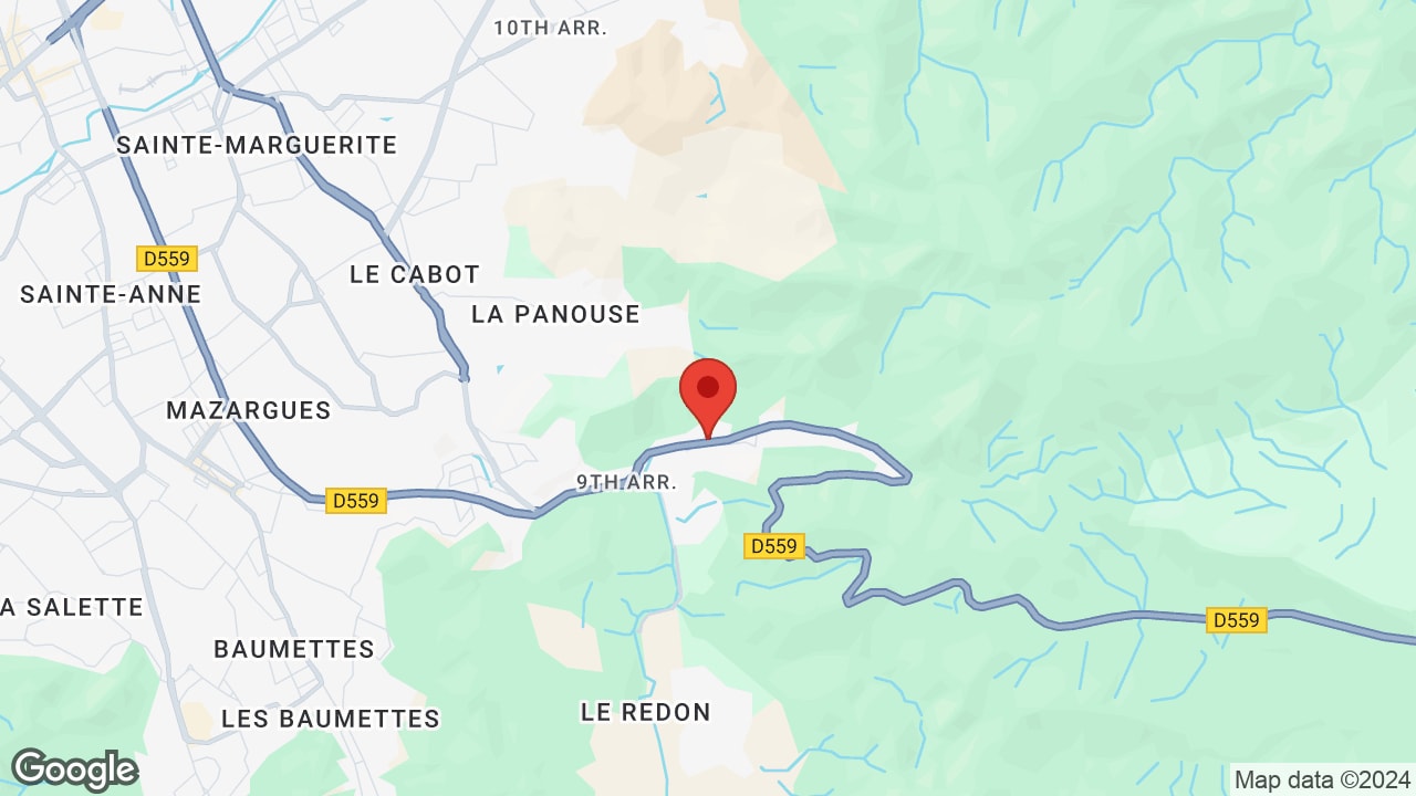 Google map