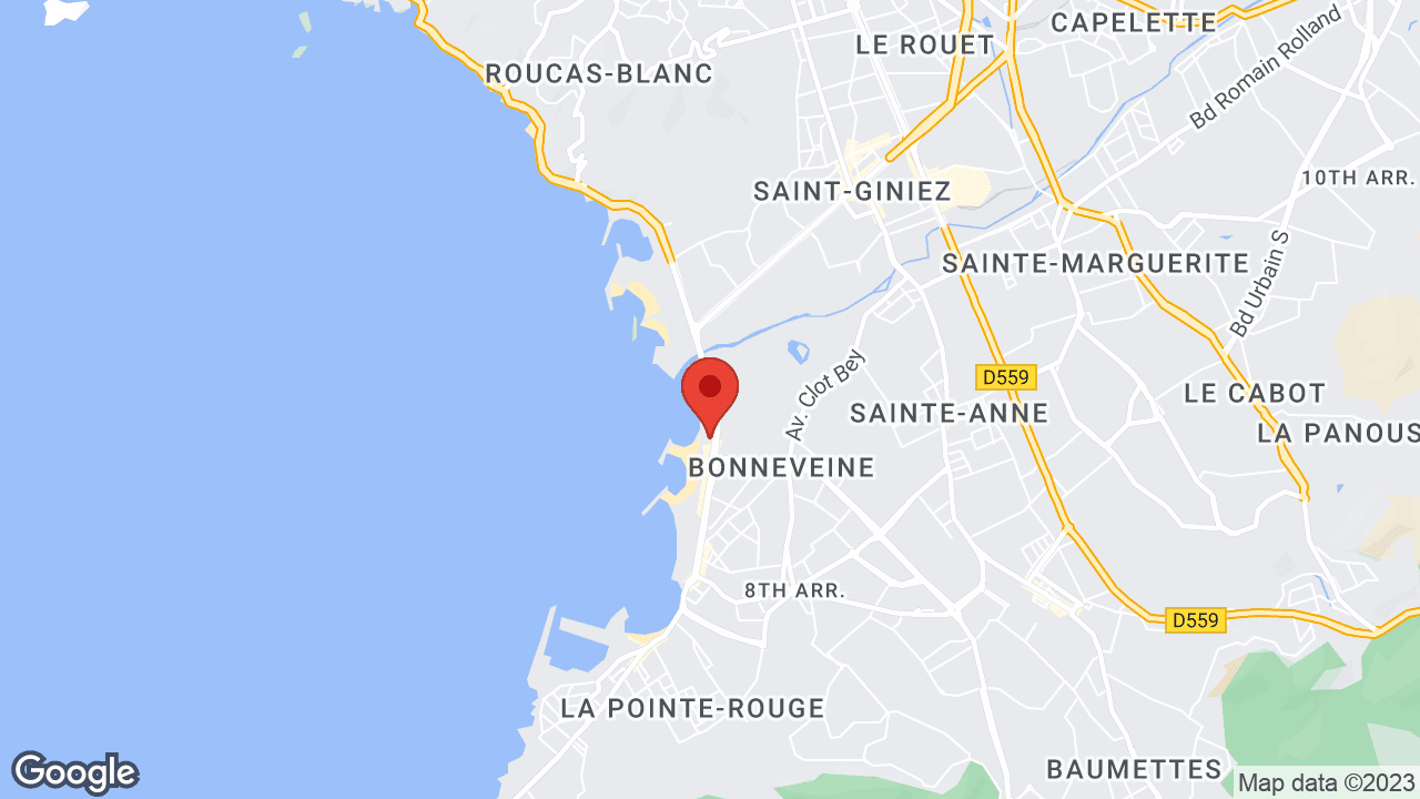 Google map