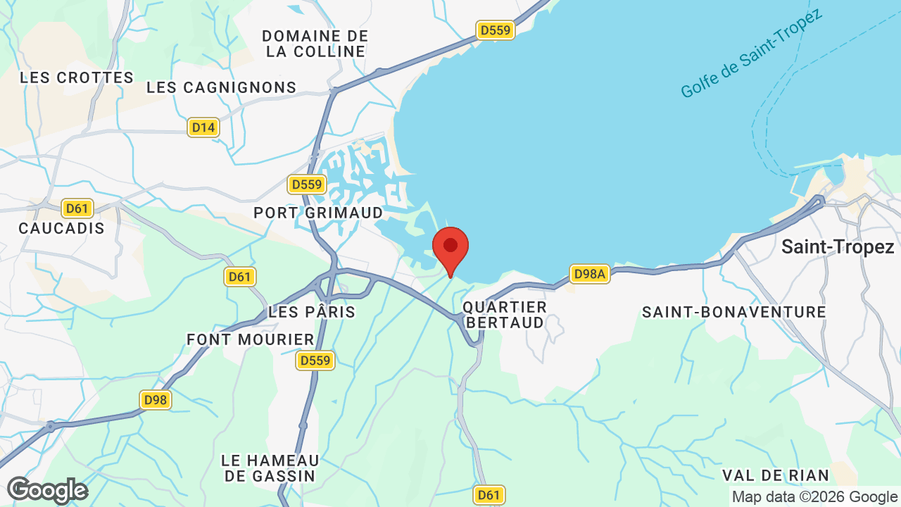 Google map