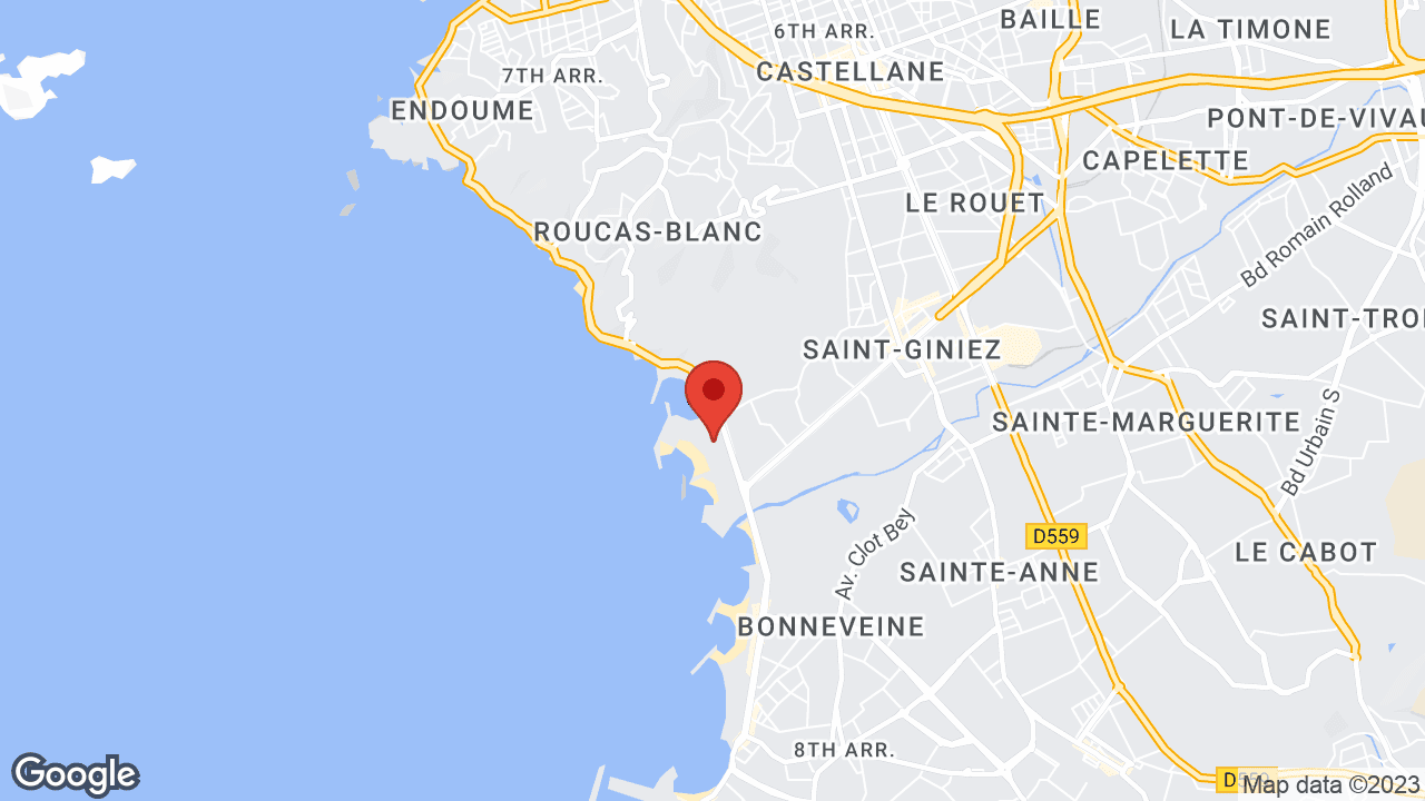Google map