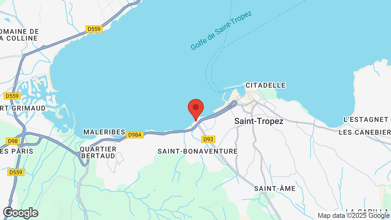 Google map