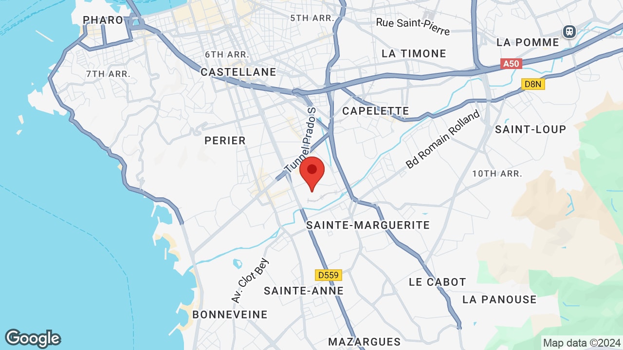 Google map