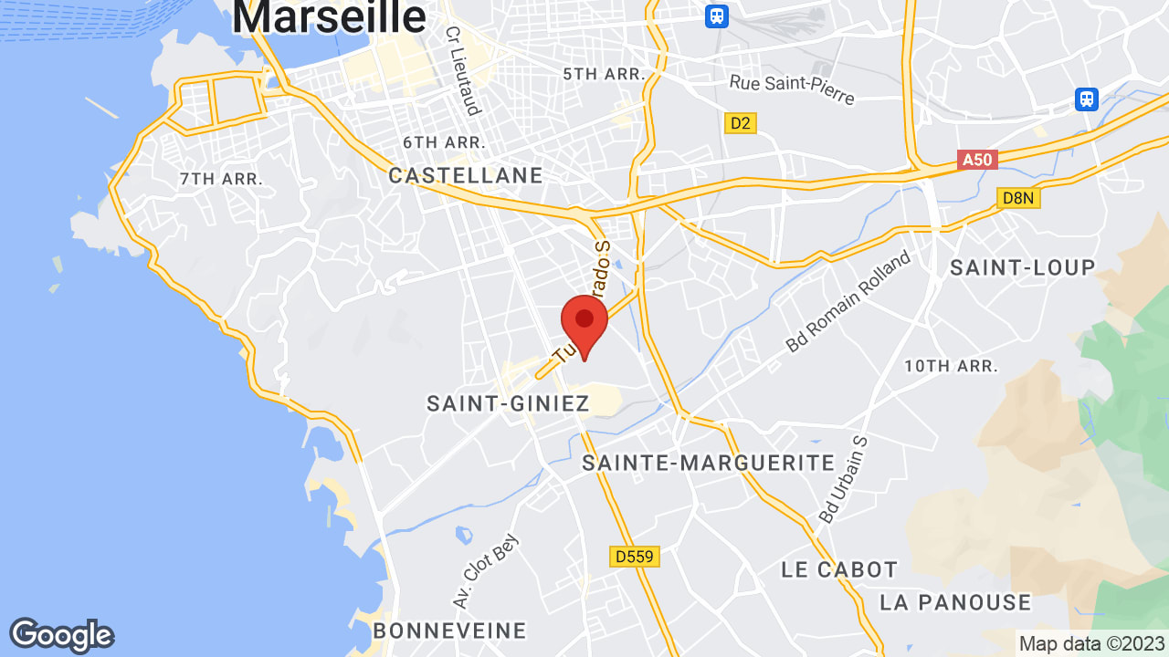 Google map