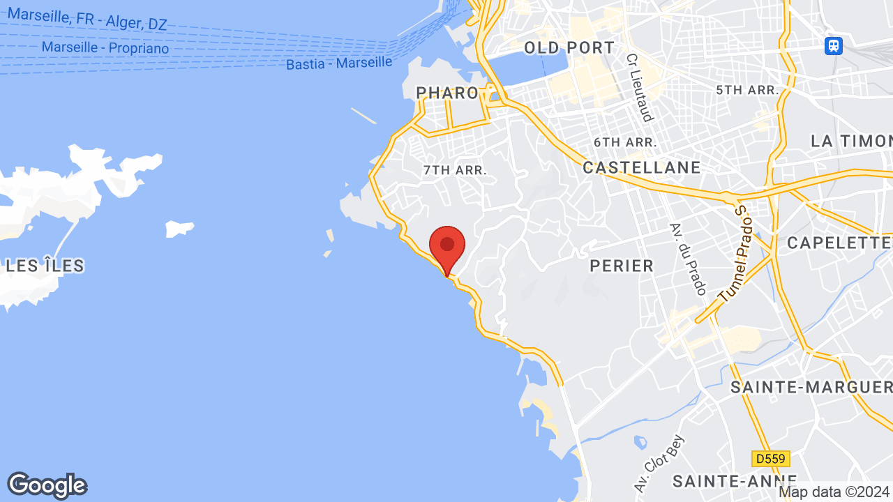 Google map