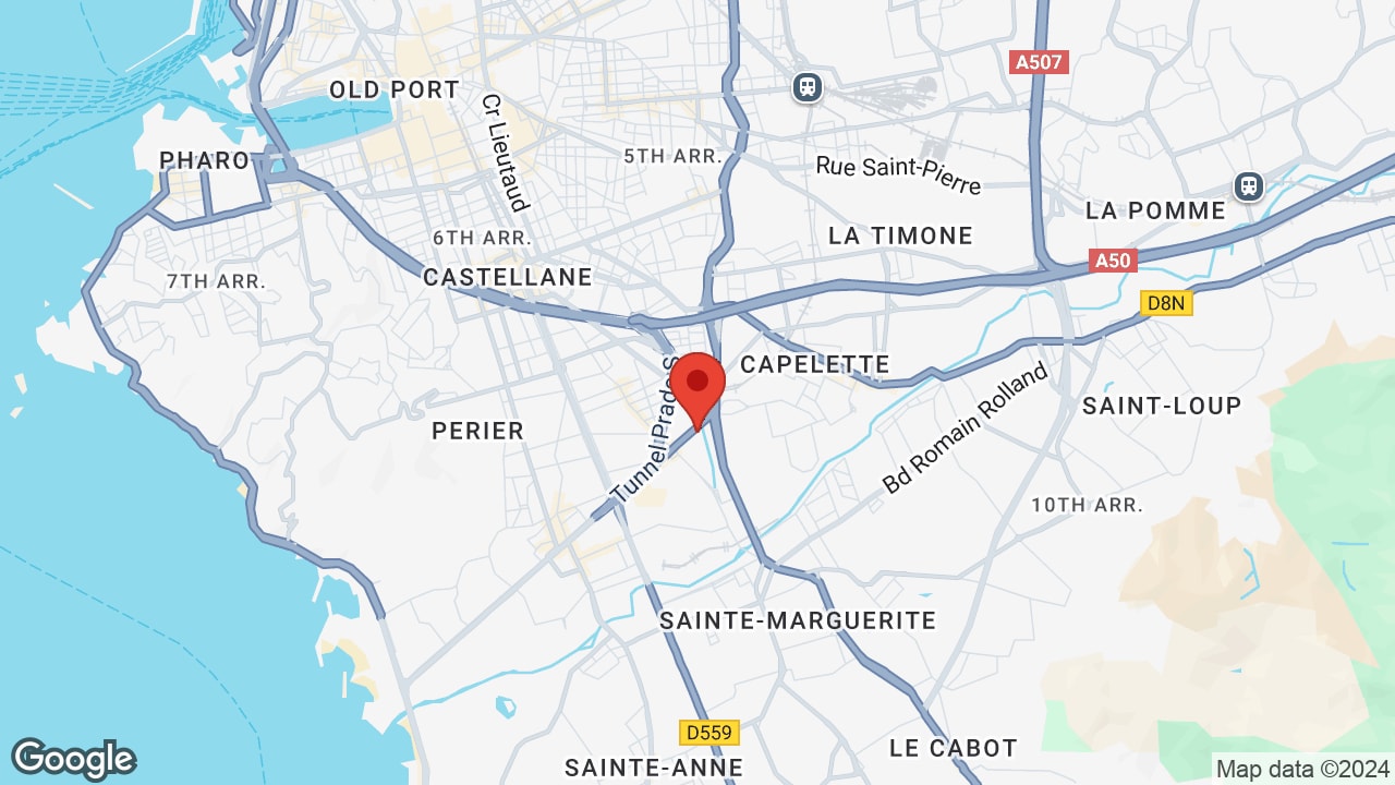 Google map