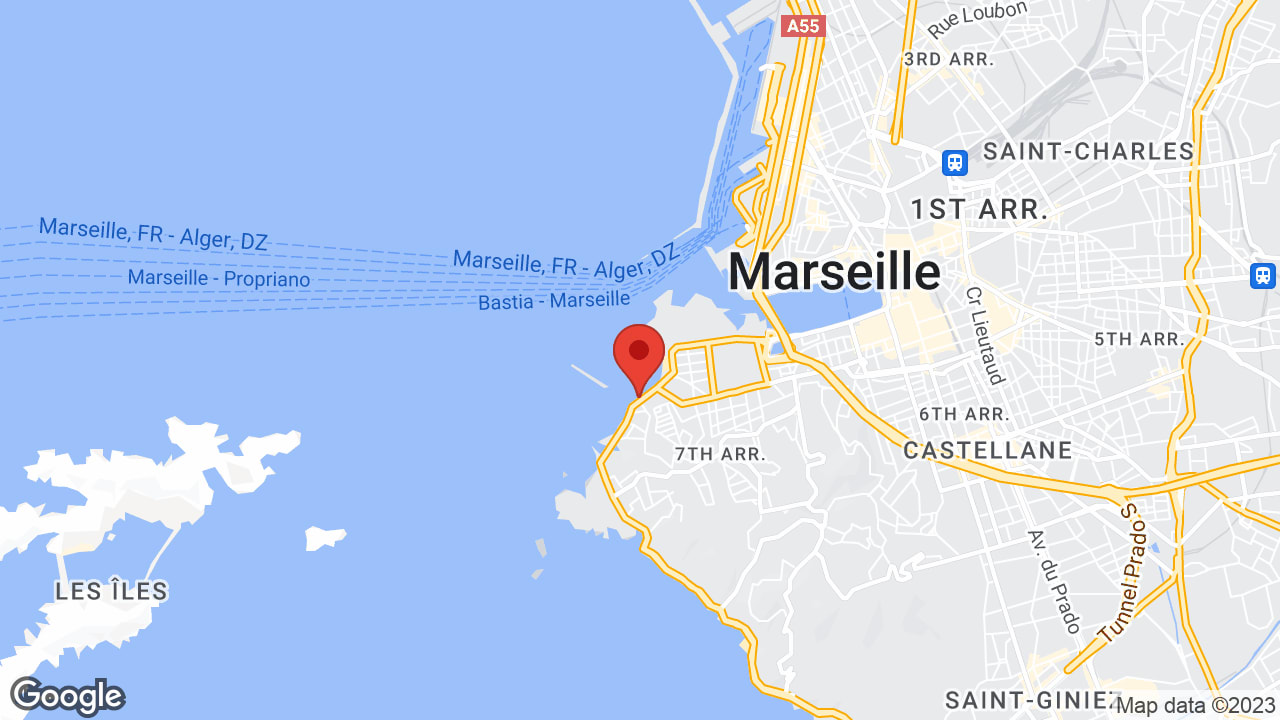 Google map