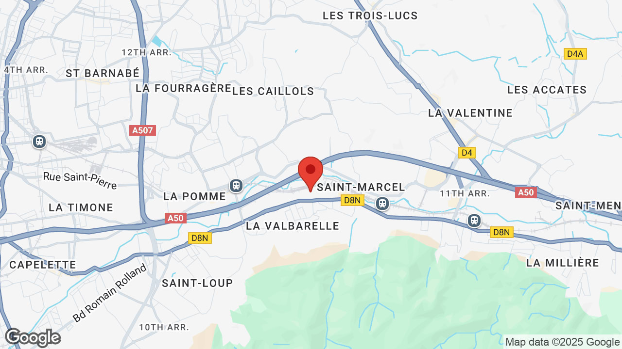 Google map