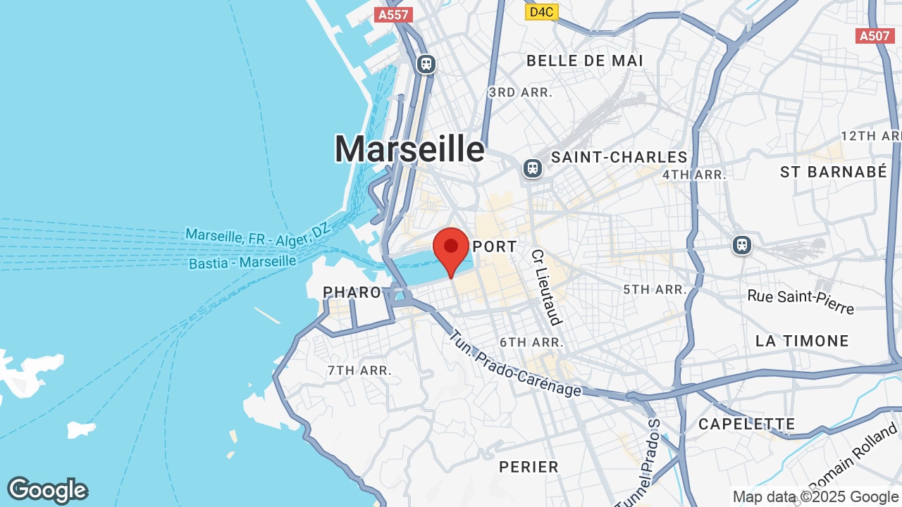 Google map