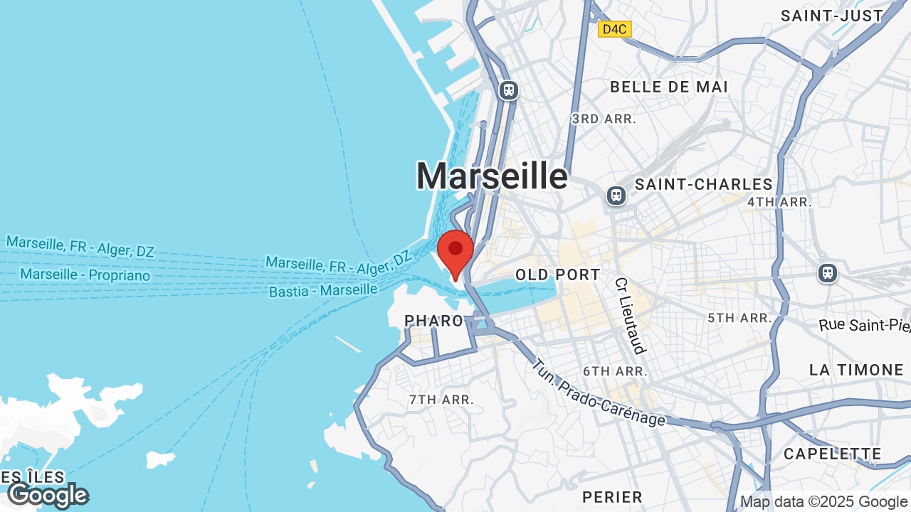 Google map