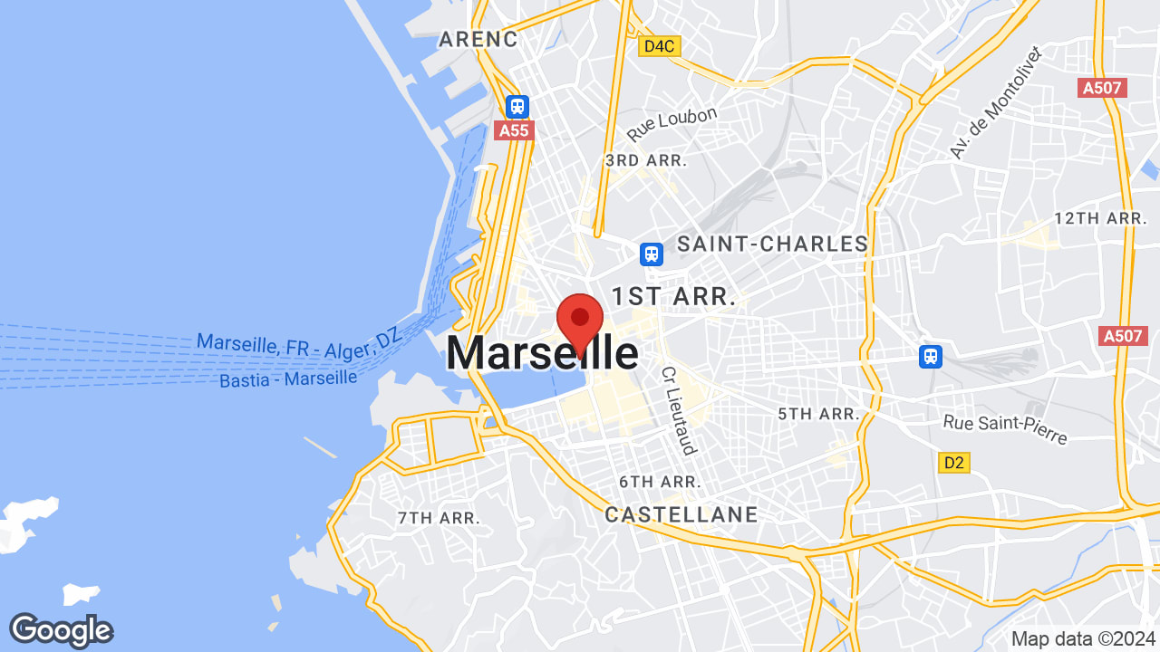 Google map