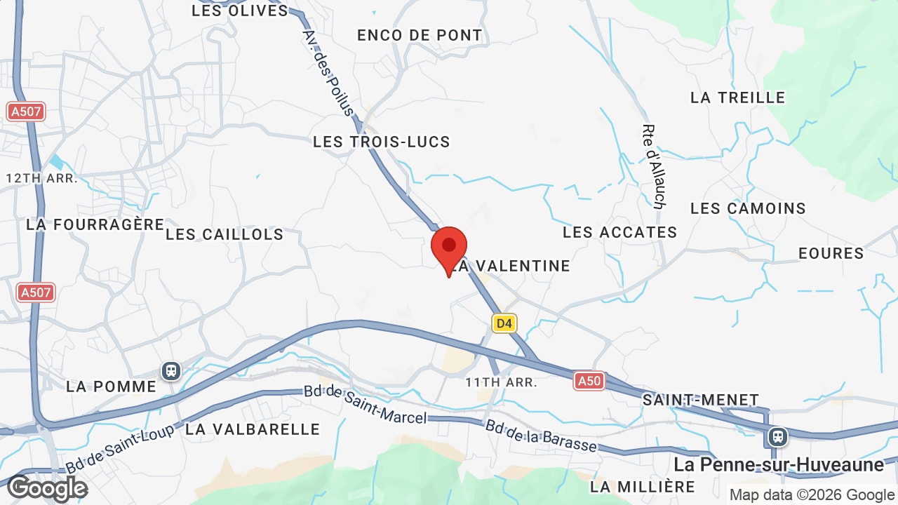 Google map