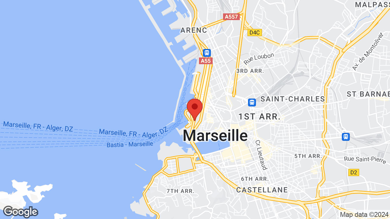Google map
