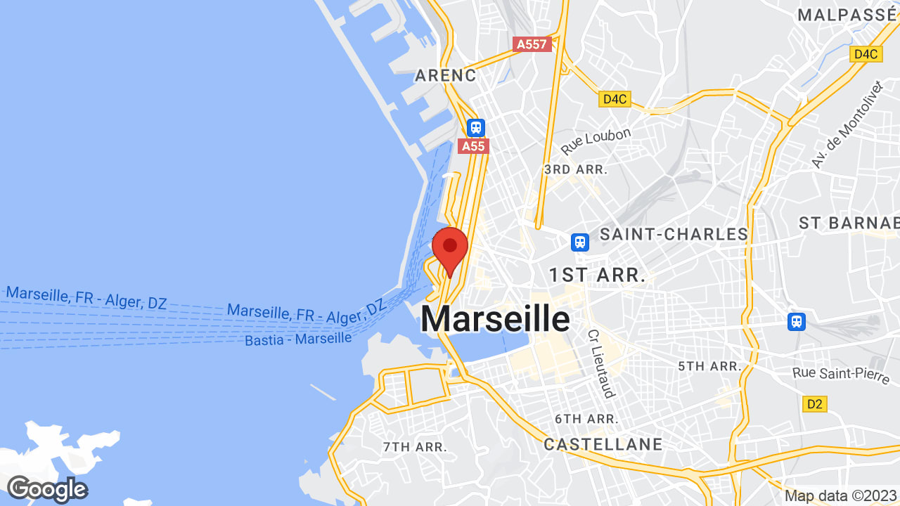 Google map