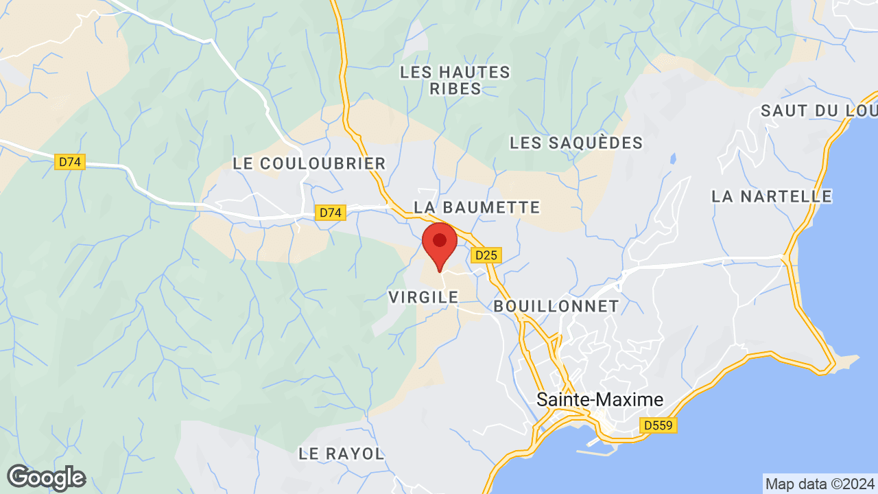 Google map