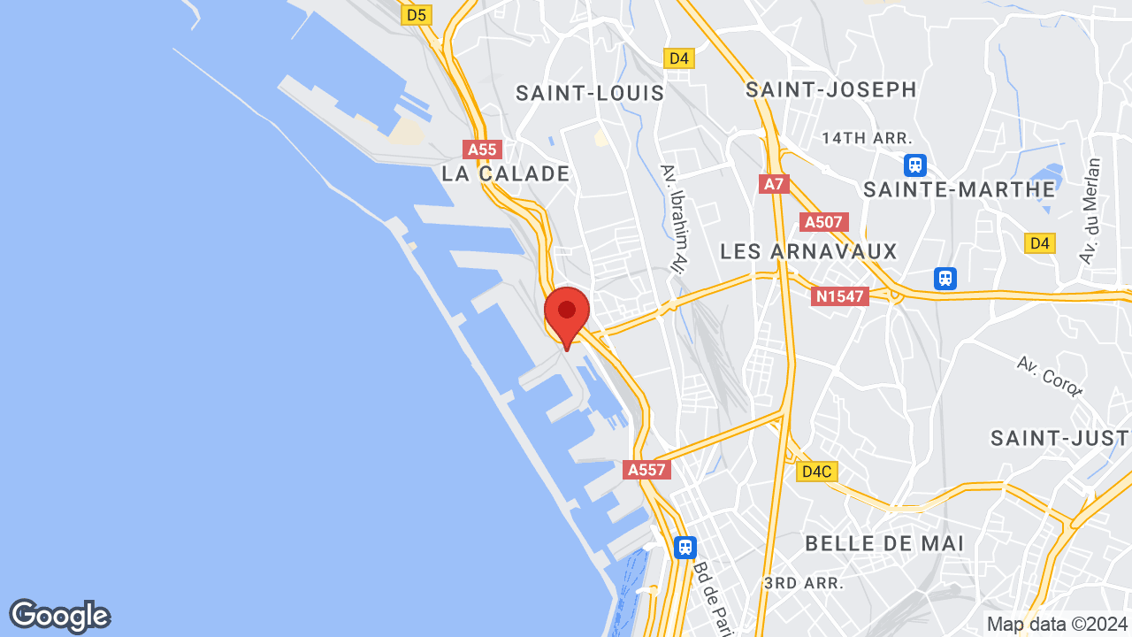 Google map