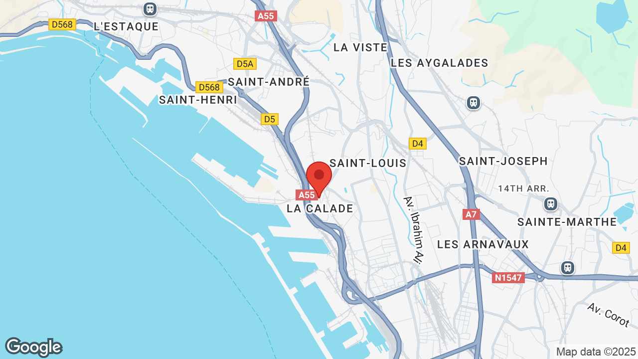 Google map