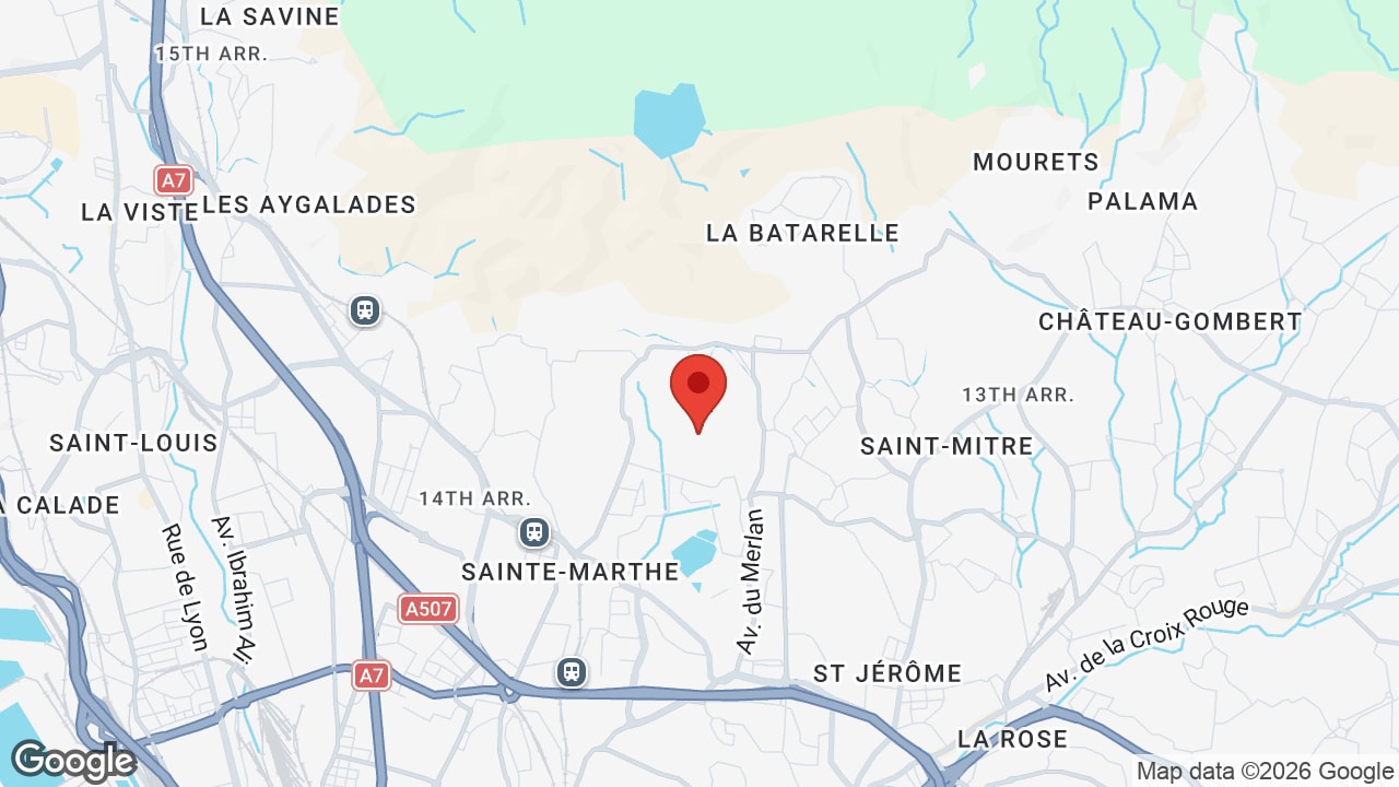 Google map