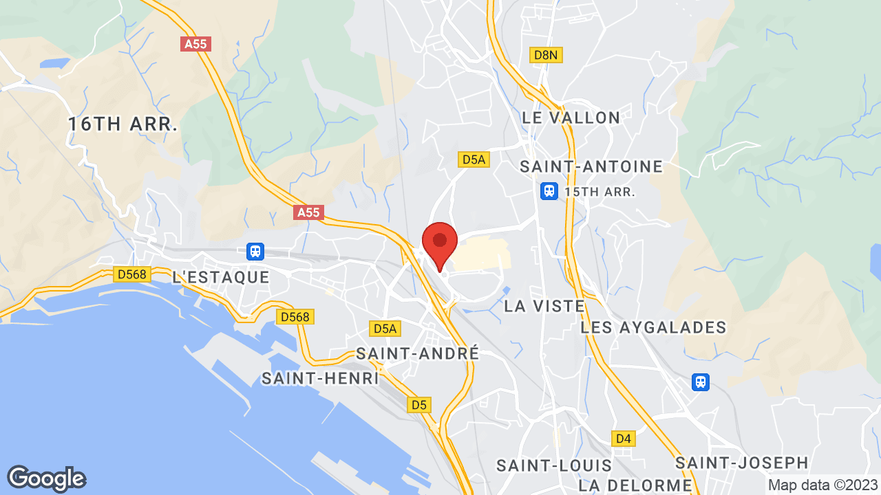 Google map