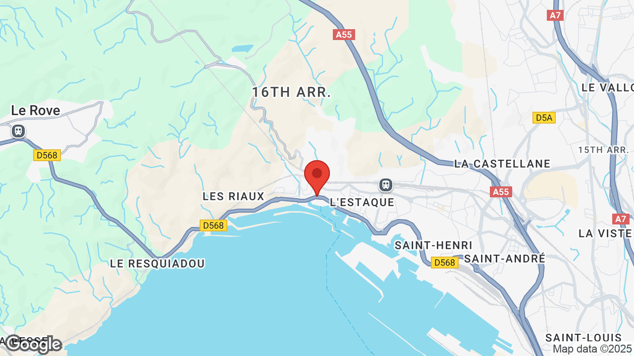 Google map