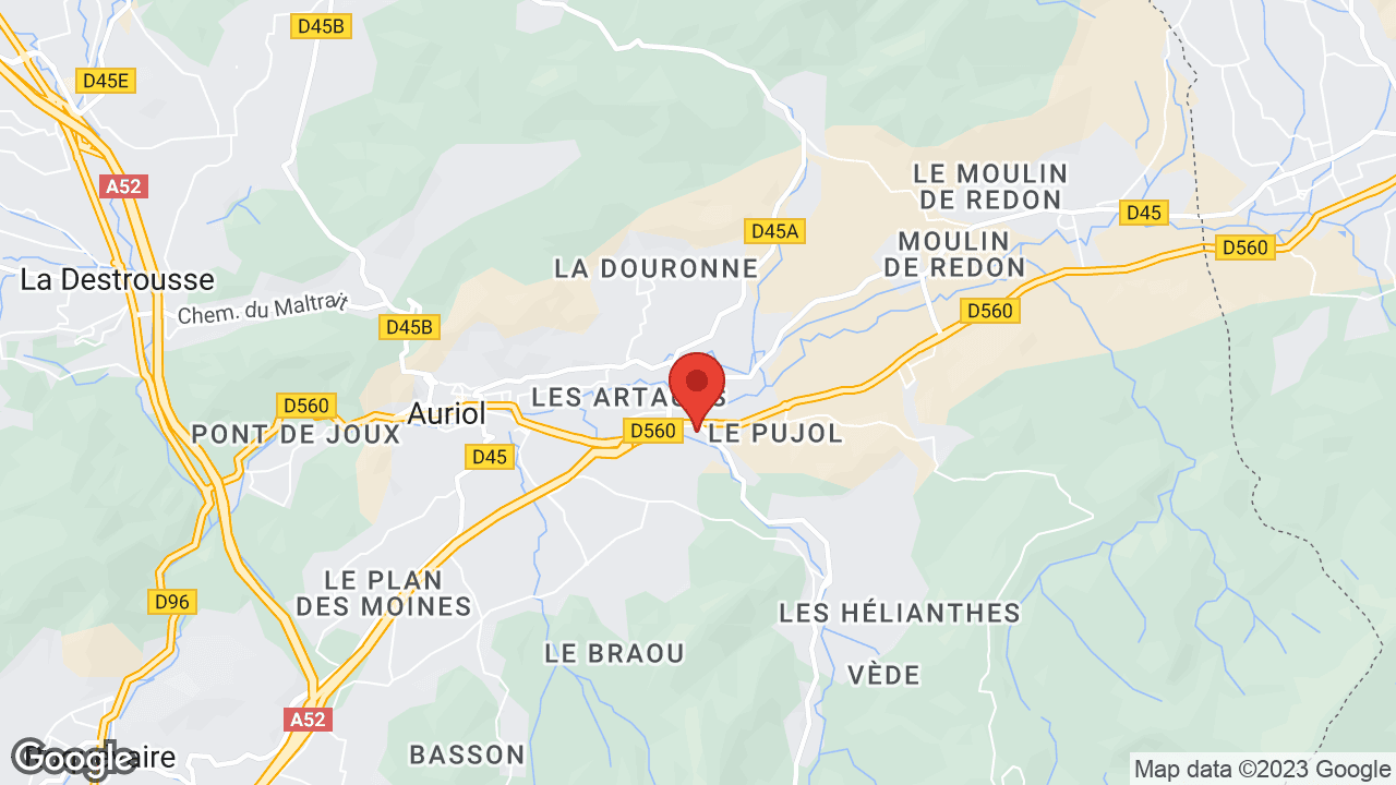 Google map